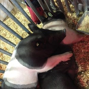 Meet your Posher, Katelynn